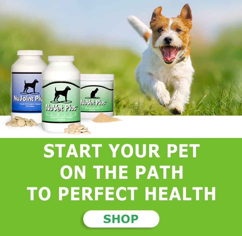 nuvet-pet-dogs-cats-supplemets-immune-support