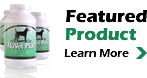 Featured Product
