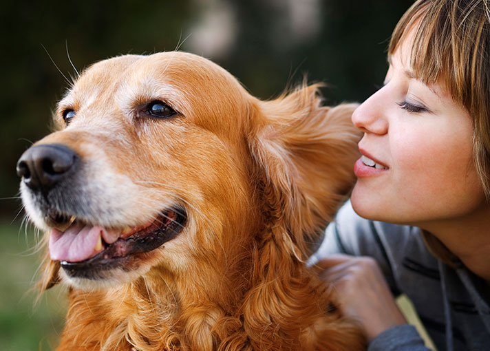 NuVet Labs dog and cat supplements