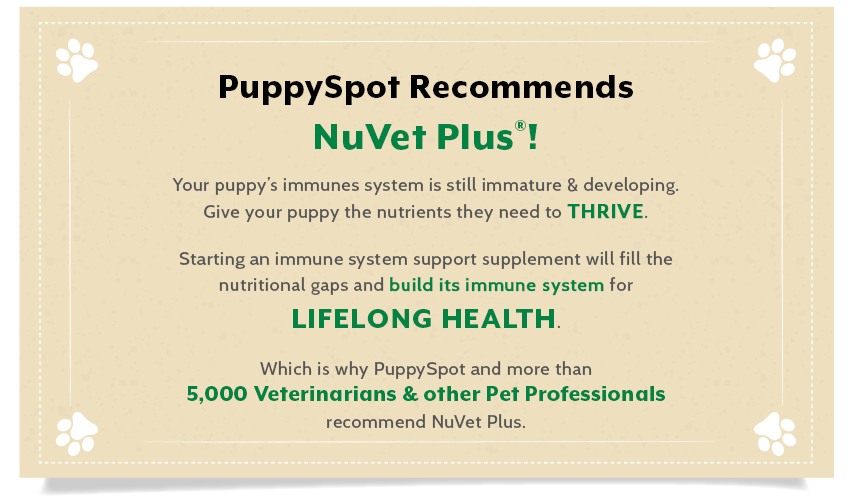 puppyspot recommends nuvet plus products for puppies